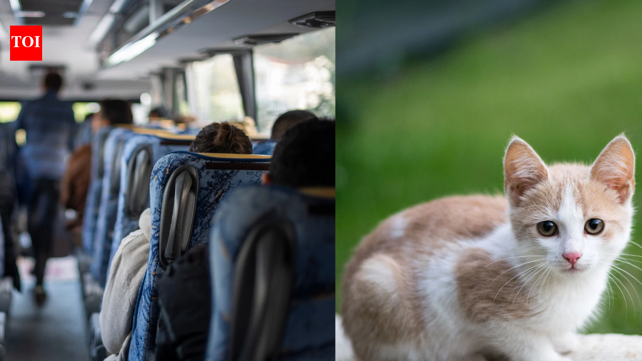 Bus Driver Removal Dispute: Kitten rescue costs Maryland driver route; parents press for return