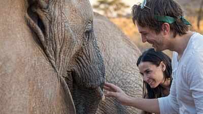 Demi Moore and Ashton Kutcher once visited a Kenyan elephant sanctuary where orphaned calves were being raised for the wild amid drought and poaching threats