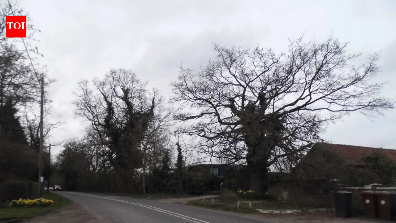 Council Drops 6,752 Homes: Hertsmere rewrites Local Plan; consultation continues