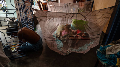 Since 2004, Bill Gates has sent millions of anti-malaria nets to Africa, but the donated gear has been devastating local waters for years