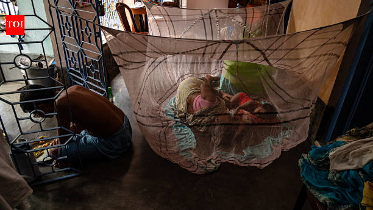 Bill Gates-backed malaria nets meant to save lives are threatening Africa’s fish stocks