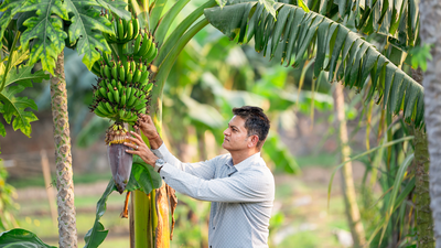 Weekend farmers find their patch of peace in NCR