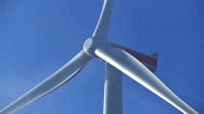 In 2025, engineers gave a small wind turbine humpback-whale-inspired blades; lab tests produced 14.98 watts versus 13.72 watts with standard blades