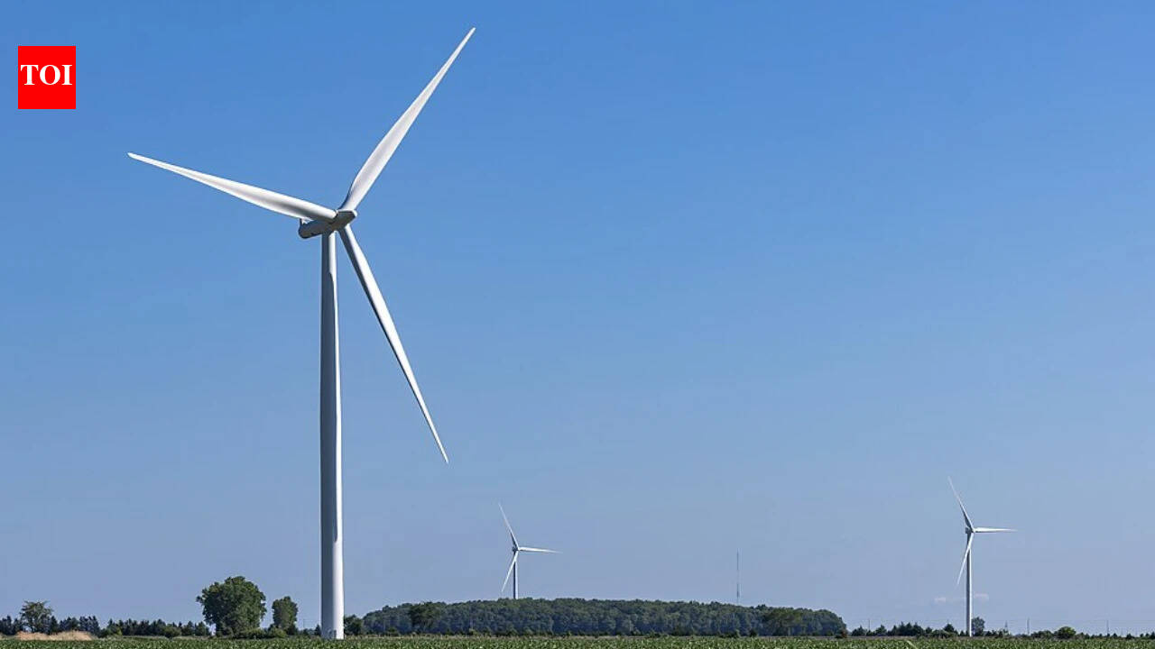 In Portugal, radar and observers shut turbines down during migration; over five autumns, no soaring birds