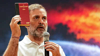 SC permits Congress delegation to file petition within premises as Rahul leads INDIA bloc march