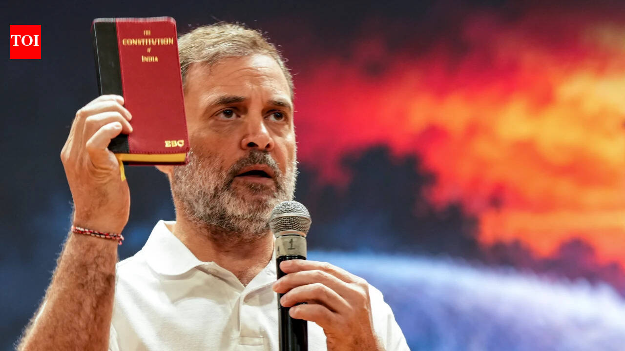 SC allows Congress delegation to enter premises to file plea as Rahul leads march