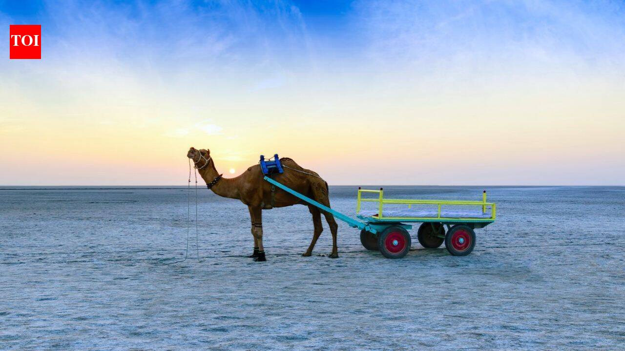 This white-sand desert in India turns silver under the moon: Why winter is the best time to experience it's beauty - The Times of India