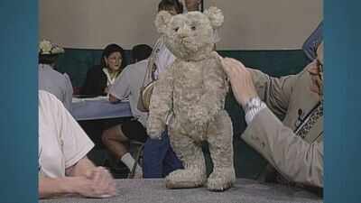 Antique teddy bear valued at $7,000-$8,000 in 1996 gets a $10,000 updated value in 2026 for its rare white fur and classic features