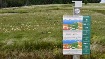South Wales rewetted damaged peatlands; monitoring recorded expanding water-vole signs alongside recovering bog plants and wildlife
