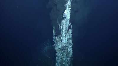 An underwater chimney collapsed at a Pacific hydrothermal vent; scientists discovered a new one growing at its location