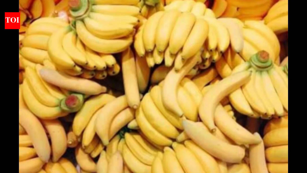 Farmers find fault with TNAU's banana price forecast