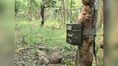 Debrigarh installs AI-enabled on-demand camera traps for conservation mgmt