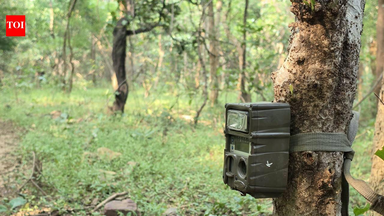 Debrigarh installs AI-enabled on-demand camera traps for conservation mgmt
