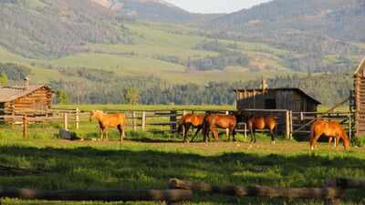 In 2022, California's 4.2-acre Rancho Cariñoso asked $109 million; after years of price cuts, the beachfront horse ranch sold at auction for $22.55 million, with nearly an acre of private beach