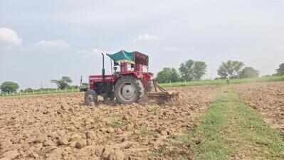 DAP shortage hits rabi sowing in Raj, farmers allege black marketing