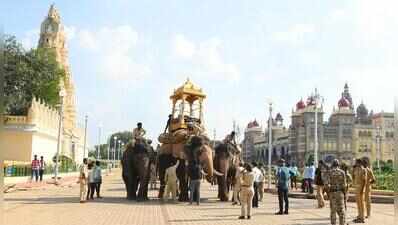 Foresters to select howdah elephant this week