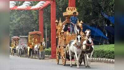 Carriage Owners, Animal Lovers On Either Side Of Horse Divide