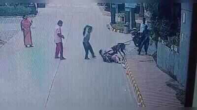 Unmuzzled, greyhound kills pug, attacks woman in Noida condo
