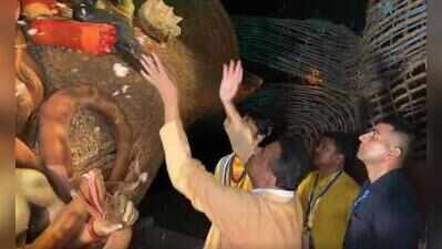 After regime change, colour revolution sweeps Kol pujas