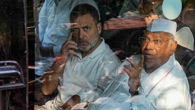 Rahul Gandhi venting electoral frustration through protests: BJP