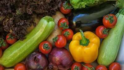 Best ways to store freshly purchased common veggies and herbs