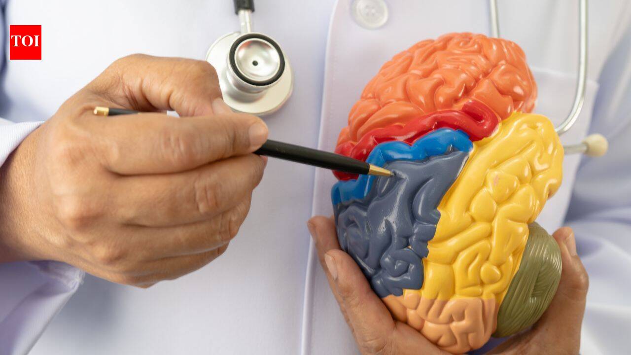 30 years later scientists discover a drug to heal fatal brain disease ...