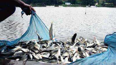 Fishermen call for climate risk insurance