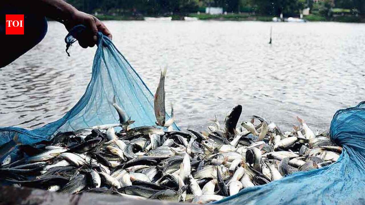 Fishermen call for climate risk insurance