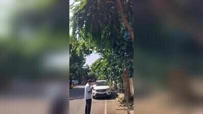 Adyar residents step out of home to jot down tree types