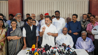 'Lady hiding in Dehradun': Who was Rahul Gandhi referring to at INDIA bloc presser?