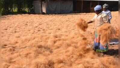 Coir dept to roll out plans to encourage women entrepreneurs