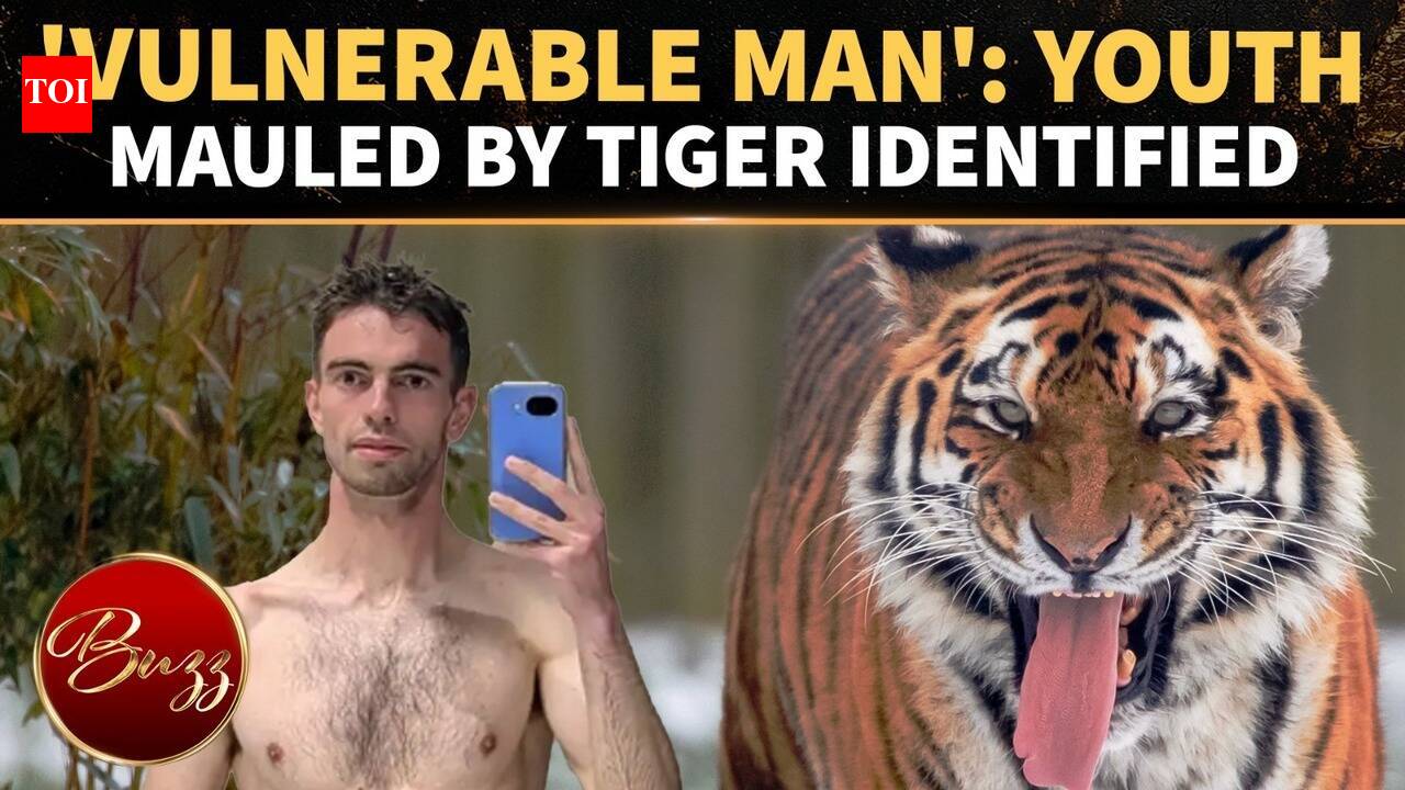 Who Was The Man Killed By A Tiger? Victim’s Identity Revealed As ...