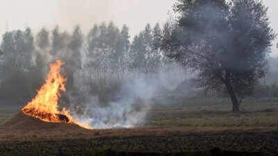 Centre asks states to go into ‘mission mode’ to curb stubble burning as farm fires rise in MP, Rajasthan