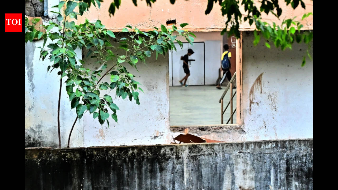 MRTS infra woes claim woman’s life; body was lying unnoticed for four ...