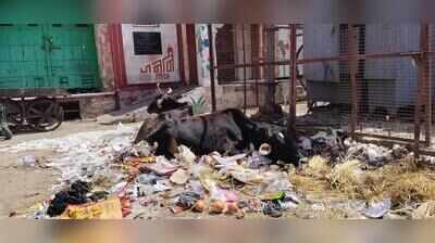 Diwali clean-up plan faces questions over ward priorities