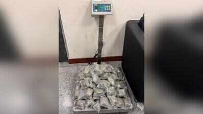 DRI seizes hydroponic weed worth Rs 2.7 crore hidden inside geyser at RGIA