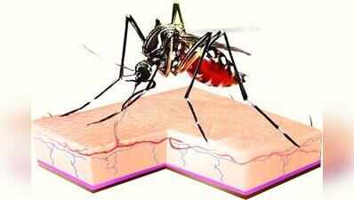 JJ Hospital Nursing Student Dies of Malaria Complications; Two Resident Doctors in ICU with Dengue