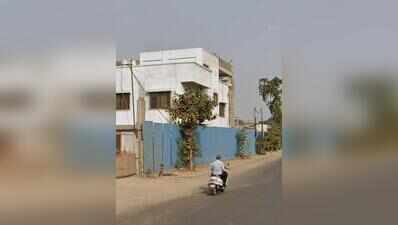 Residents seek explanation from PMC after 7 young trees felled sans intimation in Koregaon Park