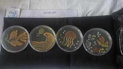 Glowing bacteria, microbial art put marine science in spotlight at NIO Goa’s Foundation Day