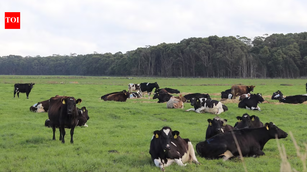 Billionaire wins appeal overturning A$23.4 million tax bill tied to Tasmania's Woolnorth dairy estate