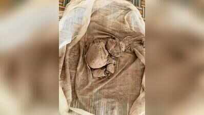 Lucknow ANTF, Dubagga police bust morphine racket; 6.4 kg seized, two arrested