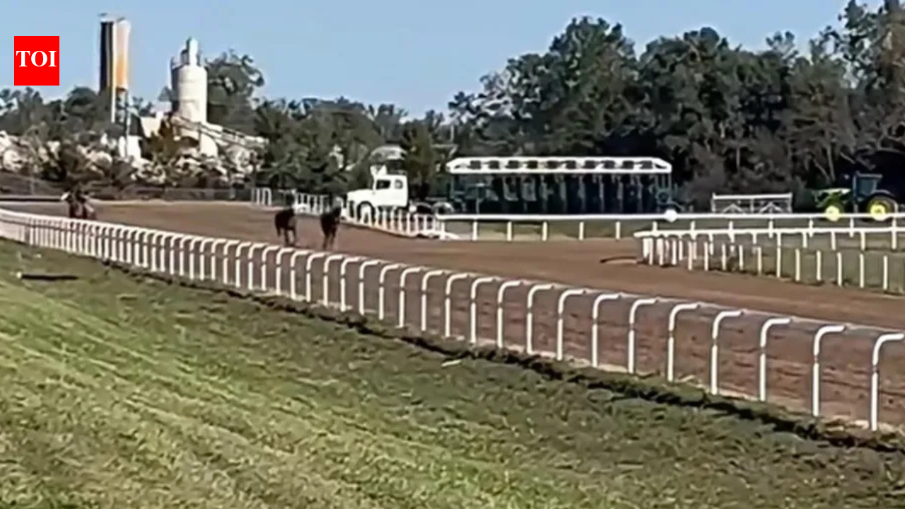 Once abandoned for 16 years, Eureka Downs is ready for a comeback as ...