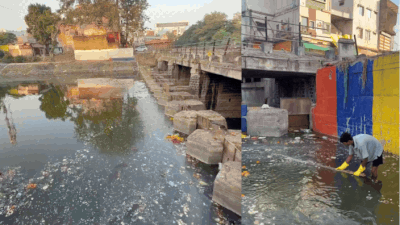 'Going to clean it again': Bittu Tabahi ‘heartbroken’ after finding garbage dumped in MP river he cleaned for 8 months