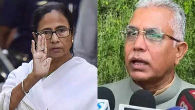 'Makes such claims all the time’: BJP dismisses TMC’s Mamata knife attack allegation