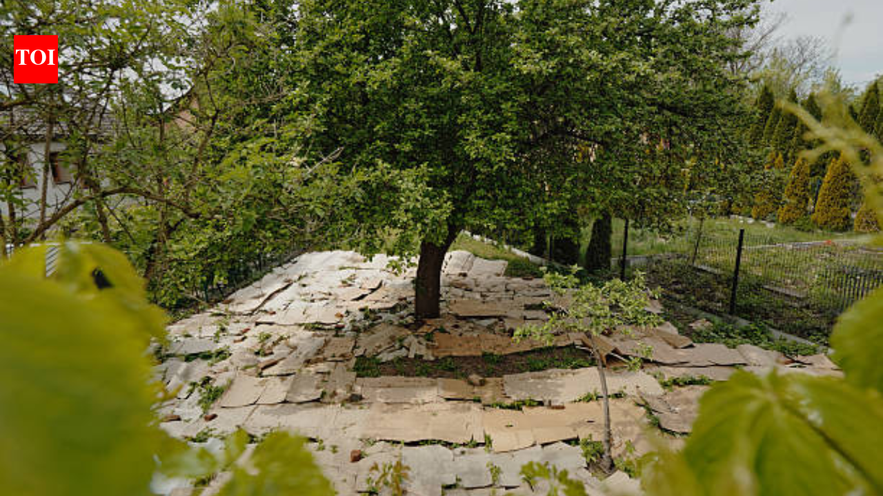 USDA-funded 2022 trial found cardboard garden beds had 15% weed cover, versus 45% in tilled beds