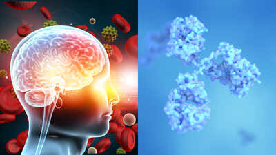 Northwestern scientists studying proteins linked to Alzheimer's found a single spot that helps harmful tau clumps spread; blocking that hotspot with a chemical tag stopped the clumps from growing in lab tests