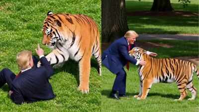 Trump shares bizarre AI video as family of UK tiger attack victim begs public to stop sharing footage