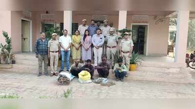 Forest department seizes 18 monitor lizards, arrests 3 for wildlife smuggling in Sikar