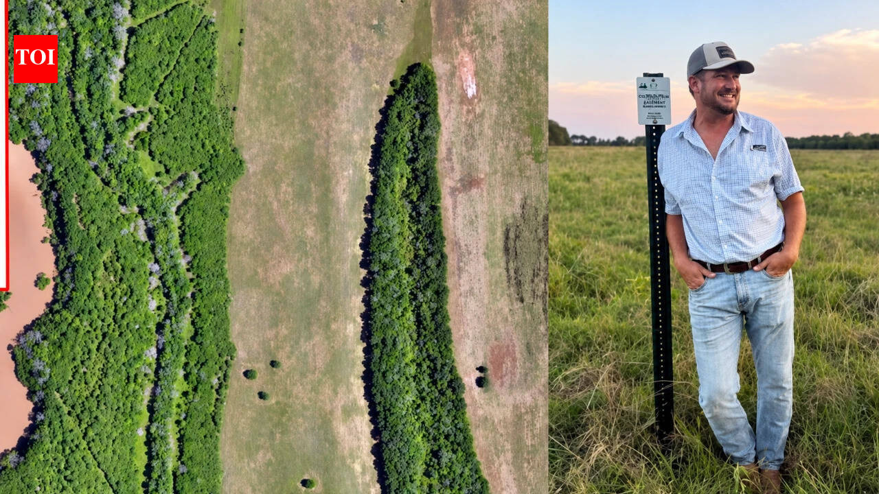 Floods ruined his cattle dream, so he’s 'rewilding' his land to save the wildlife instead.