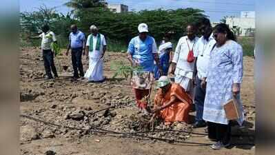 Green lung in 4 acres to come up at the western edge of Korattur lake